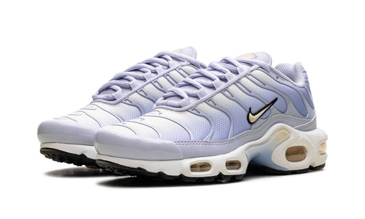 Nike Air Max Plus Daybreak (Women's)