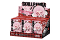 Pop Mart SKULLPANDA Winter Symphony Series Vinyl Face Plush Pendant Sealed Case (6 Blind Box)