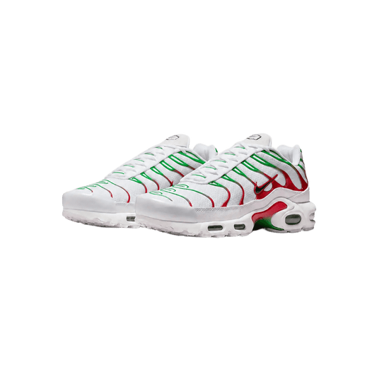 Nike Air Max Plus Italy