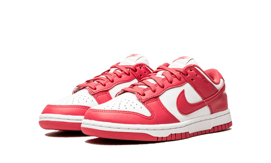 Dunk Low Archeo Pink (Women's)