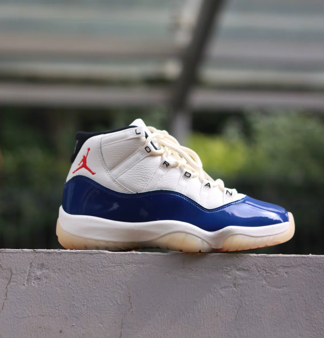 Air Jordan 11 Retro Rare Air