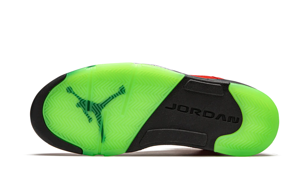 Air Jordan 5 Retro What The