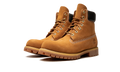 Timberland 6 Premium Waterproof Boot Wheat