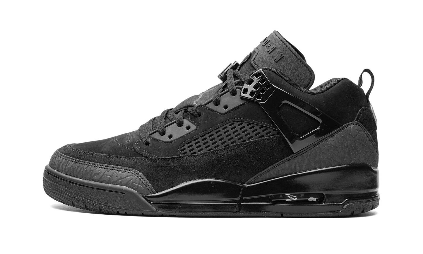 Air Jordan Spizike Low Black Cat