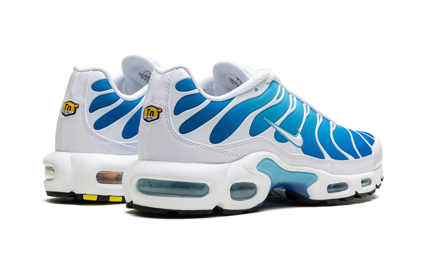 Nike Air Max Plus Sky Blue