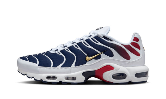 Nike Air Max Plus PSG