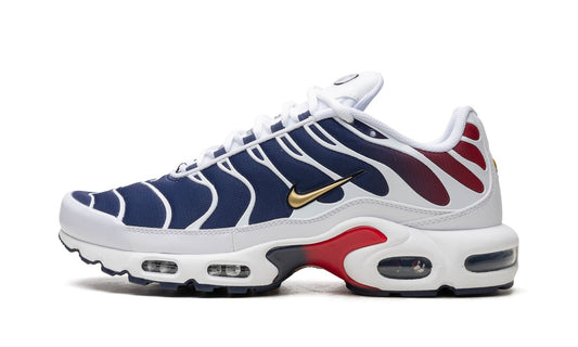 Nike Air Max Plus PSG