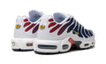 Nike Air Max Plus PSG