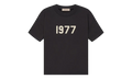 Essentials 1977 T-shirt Iron